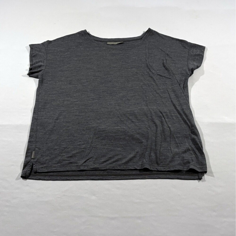 Icebreaker Gray Short Sleeve Tee